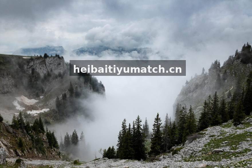 欧冠小组赛阶段战术观察：高位逼抢如何重塑中场秩序